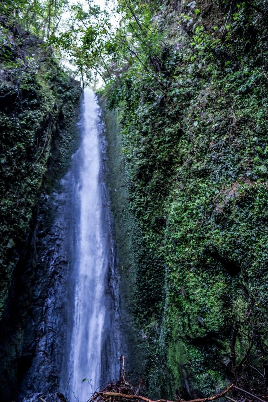 Recidencia Del Hamor Sorsogon Exterior photo
